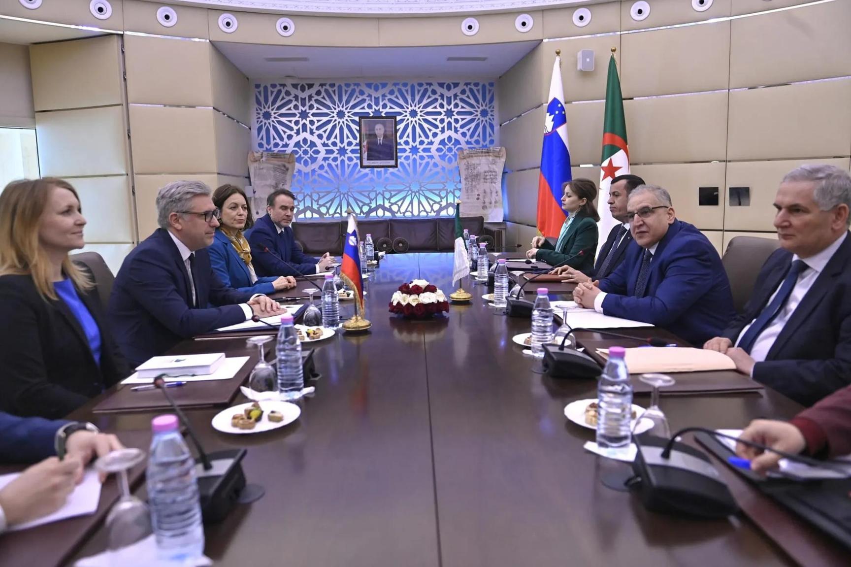 انعقاد الدورة الثالثة للمشاورات السياسية الجزائرية-السلوفينية انعقاد الدورة الثالثة للمشاورات السياسية الجزائرية-السلوفينية