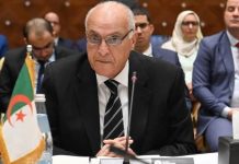 الجزائر تدعو لشراكة عربية أممية تكفل تعزيز السلم والأمن بالمنطقة الجزائر تدعو لشراكة عربية أممية تكفل تعزيز السلم والأمن بالمنطقة