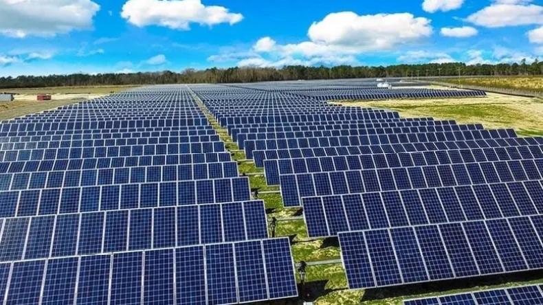 إطلاق مشروع لتعزيز كفاءة تركيب الأنظمة الشمسية والإنارة العمومية بالجزائر إطلاق مشروع لتعزيز كفاءة تركيب الأنظمة الشمسية والإنارة العمومية بالجزائر