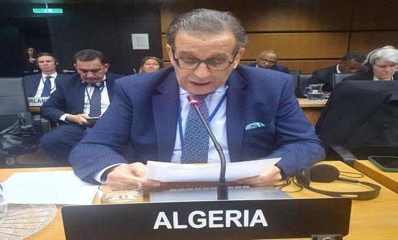 الجزائر تؤكد حق الاستخدام السلمي للطاقة النووية الجزائر تؤكد حق الاستخدام السلمي للطاقة النووية