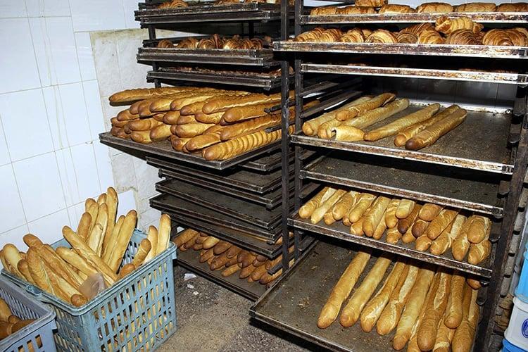 مواطنون في رحلة البحث عن الخبز المدعم مواطنون في رحلة البحث عن الخبز المدعم