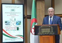 بوغالي: مقاربة الجزائر لمكافحة الإرهاب نموذج يحتذى به دوليا بوغالي: مقاربة الجزائر لمكافحة الإرهاب نموذج يحتذى به دوليا