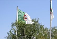 مؤسسات جزائرية تستبدل الفرنسية بالعربية والإنجليزية مؤسسات جزائرية تستبدل الفرنسية بالعربية والإنجليزية