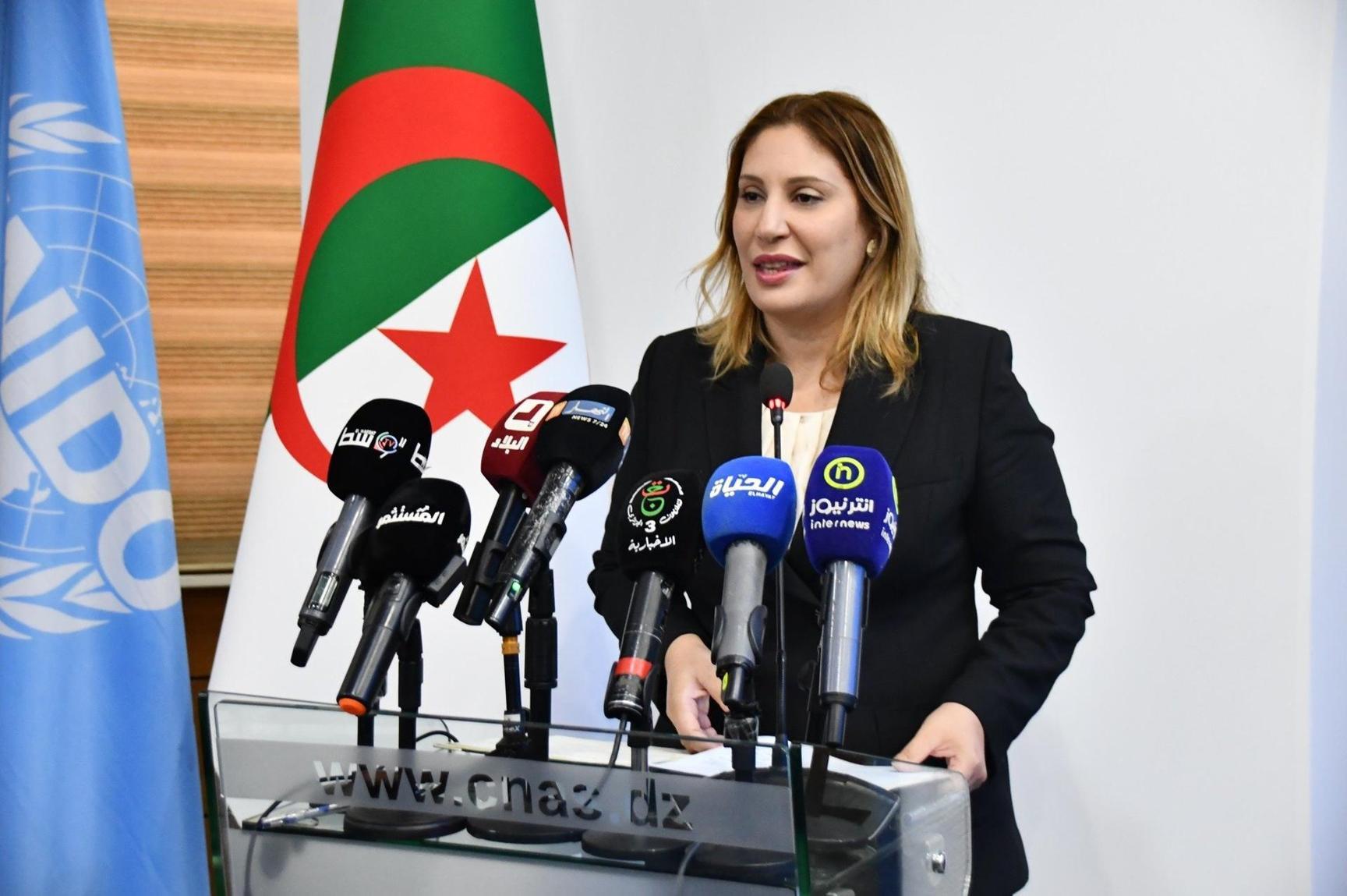 إنشاء لجنة وزارية للتخلص من المواد المستنفدة للأوزون