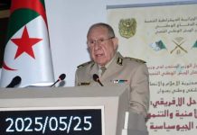 الجزائر تطلق رسائل طمأنة لدول الساحل الجزائر تطلق رسائل طمأنة لدول الساحل