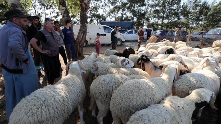 عيد الأضحى في الجزائر... استعدادات شعبية وتمسك بالتقاليد