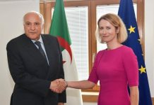 عطاف يؤكد على ضرورة تفعيل مجلس الشراكة الجزائرية – الأوروبية عطاف يؤكد على ضرورة تفعيل مجلس الشراكة الجزائرية - الأوروبية