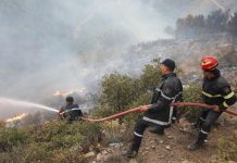 الحماية المدنية: تسجيل 20 حريق غابات عبر 9 ولايات الحماية المدنية: تسجيل 20 حريق غابات عبر 9 ولايات