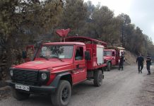 الحماية المدنية: تسجيل 9 حرائق غابات عبر 5 ولايات الحماية المدنية: تسجيل 9 حرائق غابات عبر 5 ولايات