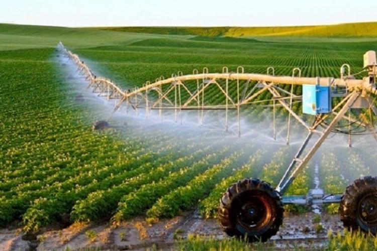 التجربة الفلاحية الصحراوية الجزائرية تلهم دولا إفريقية