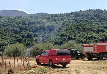 الحماية المدنية: إخماد 10 حرائق غابات عبر 8 ولايات الحماية المدنية: إخماد 10 حرائق غابات عبر 8 ولايات