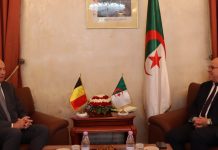 الجزائر وبلجيكا تبحثان التعاون في مجالي الإنتاج النباتي والحيواني الجزائر وبلجيكا تبحثان التعاون في مجالي الإنتاج النباتي والحيواني