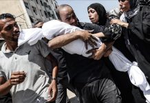 الجزائر رفضا لاحتلال إسرائيل كامل غزة: ألم يكفِ قتل 18 ألف طفل الجزائر رفضا لاحتلال إسرائيل كامل غزة: ألم يكفِ قتل 18 ألف طفل