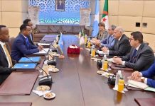 إنشاء لجنة حكومية مشتركة للتعاون بين الجزائر والصومال إنشاء لجنة حكومية مشتركة للتعاون بين الجزائر والصومال