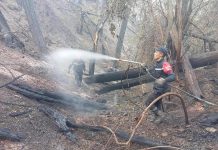 السيطرة على حريق الشريعة بولاية البليدة السيطرة على حريق الشريعة بولاية البليدة