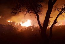 الحماية المدنية: تسجيل 48 حريقا للغطاء النباتي في 14 ولاية الحماية المدنية: تسجيل 48 حريقا للغطاء النباتي في 14 ولاية