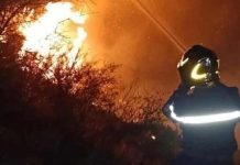 الحماية المدنية: تسجيل 7 حرائق غطاء نباتي في 5 ولايات الحماية المدنية: تسجيل 7 حرائق غطاء نباتي في 5 ولايات