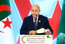 تبون يحث أفريقيا على توحيد جهودها لتجاوز التهميش وصناعة غذائها بنفسها تبون يحث أفريقيا على توحيد جهودها لتجاوز التهميش وصناعة غذائها بنفسها