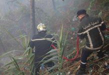 الحماية المدنية: إخماد 12 حريقًا للغطاء النباتي عبر 6 ولايات الحماية المدنية: إخماد 12 حريقًا للغطاء النباتي عبر 6 ولايات