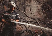 الحماية المدنية: تسجيل 28 حريقًا للغطاء النباتي عبر 8 ولايات الحماية المدنية: تسجيل 28 حريقًا للغطاء النباتي عبر 8 ولايات