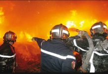 الحماية المدنية: السيطرة على 20 حريق غابي عبر 10 ولايات الحماية المدنية: السيطرة على 20 حريق غابي عبر 10 ولايات