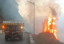 الحماية المدنية: إخماد 10 حرائق غابية عبر 8 ولايات الحماية المدنية: إخماد 10 حرائق غابية عبر 8 ولايات