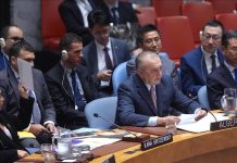 الجزائر: فشل مجلس الأمن الدولي في التحرك لوقف الإبادة “عار” الجزائر: فشل مجلس الأمن الدولي في التحرك لوقف الإبادة "عار"