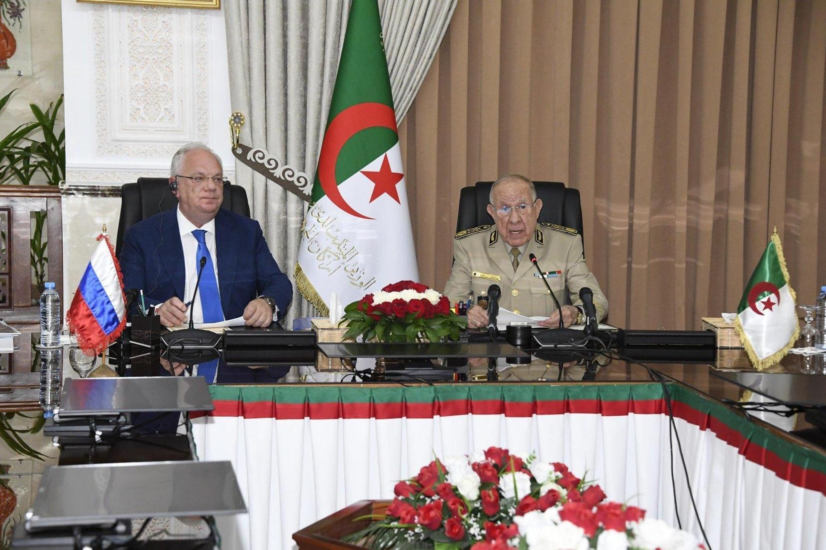 sm_1758678878.418534