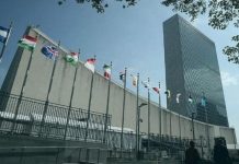 الجزائر ترافع من أجل توطيد الشراكة بين مجلس الأمن وجامعة الدول العربية الجزائر ترافع من أجل توطيد الشراكة بين مجلس الأمن وجامعة الدول العربية