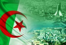 المنظمة الوطنية للصحافيين: الجزائر لن تنكسر أمام الحملات المسمومة المنظمة الوطنية للصحافيين: الجزائر لن تنكسر أمام الحملات المسمومة