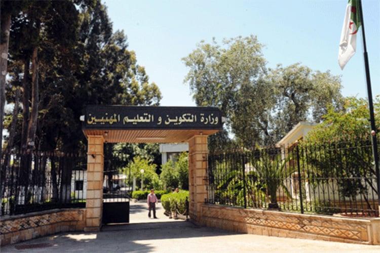 إدماج 380 ألف متربص وفقا للتخصصات واحتياجات السوق إدماج 380 ألف متربص وفقا للتخصصات واحتياجات السوق