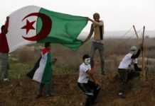 حركة “حماس” توضح بشأن مسألة “شكر الجزائر” حركة "حماس" توضح بشأن مسألة "شكر الجزائر"