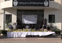 ضبط قرابة 4 قناطير من الكيف المعالج قادمة من المغرب ضبط قرابة 4 قناطير من الكيف المعالج قادمة من المغرب