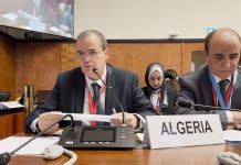 رزيق: الجزائر تواصل دعم التنمية الإفريقية عبر مشاريع قارية كبرى رزيق: الجزائر تواصل دعم التنمية الإفريقية عبر مشاريع قارية كبرى