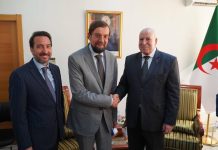 بعد زيارة توجت بالإعلان عن شراكة.. الجزائر وروسيا حلفاء السياسة بعد زيارة توجت بالإعلان عن شراكة.. الجزائر وروسيا حلفاء السياسة