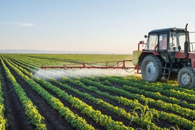 300 توصية لإصلاح الفلاحة ودفعها في الجزائر 300 توصية لإصلاح الفلاحة ودفعها في الجزائر