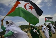 الجزائر تعيد مجلس الأمن إلى جادة الشرعية الدولية الجزائر تعيد مجلس الأمن إلى جادة الشرعية الدولية