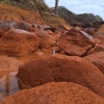 الينابيع الساخنة باليابان تكشف أسرار أقدم صور الحياة على الأرض الينابيع الساخنة باليابان تكشف أسرار أقدم صور الحياة على الأرض