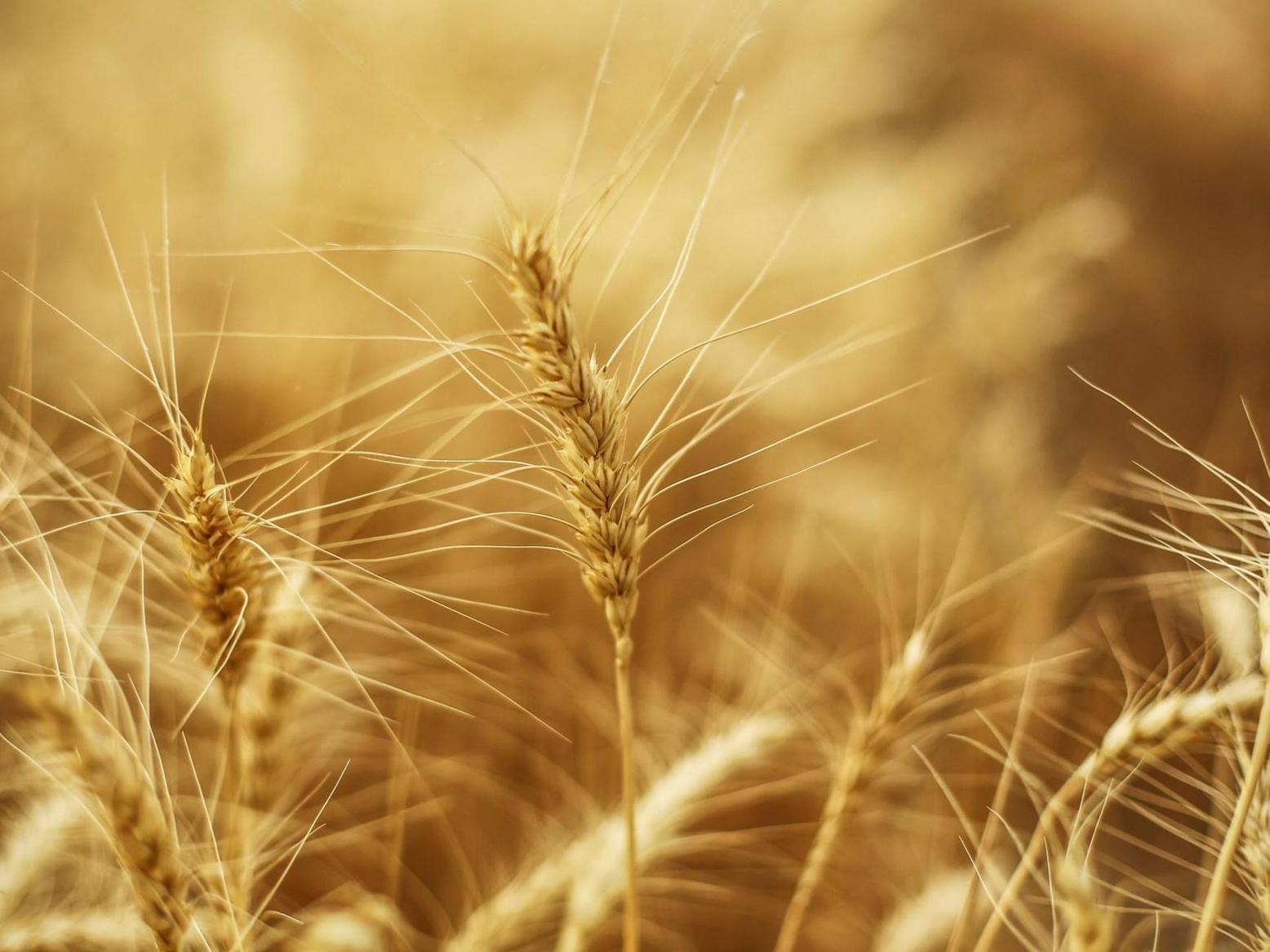 اكتشاف اكتشاف