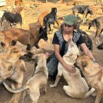 طبيبة بيطرية: حلمي فتح مركز إيواء لكل الكلاب الضالة في الجزائر طبيبة بيطرية: حلمي فتح مركز إيواء لكل الكلاب الضالة في الجزائر