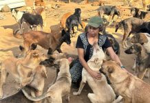 طبيبة بيطرية: حلمي فتح مركز إيواء لكل الكلاب الضالة في الجزائر طبيبة بيطرية: حلمي فتح مركز إيواء لكل الكلاب الضالة في الجزائر