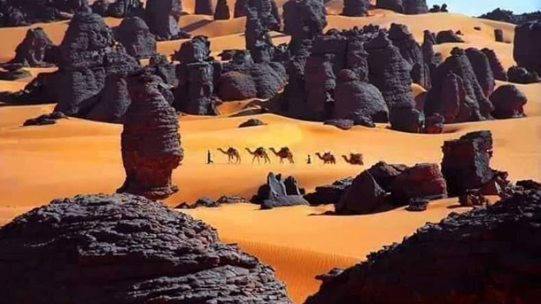 إنزال قوي للسياح الأجانب على الصحراء الجزائرية