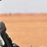 حصيلة الجيش خلال شهر أكتوبر حصيلة الجيش خلال شهر أكتوبر