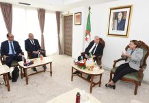 لجنة وطنية لتوثيق الجرائم البيئية للاستعمار الفرنسي في الجزائر لجنة وطنية لتوثيق الجرائم البيئية للاستعمار الفرنسي في الجزائر