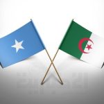 العلاقات الصومالية الجزائرية: نحو شراكة متجددة في الأمن والتنمية العلاقات الصومالية الجزائرية: نحو شراكة متجددة في الأمن والتنمية
