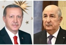 تبون يعزي نظيره التركي بعد تحطم طائرة عسكرية تبون يعزي نظيره التركي بعد تحطم طائرة عسكرية