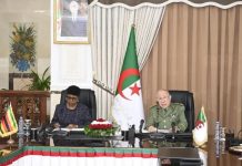 شنقريحة يستقبل وزيرة الدفاع وقدماء المحاربين لزيمبابوي