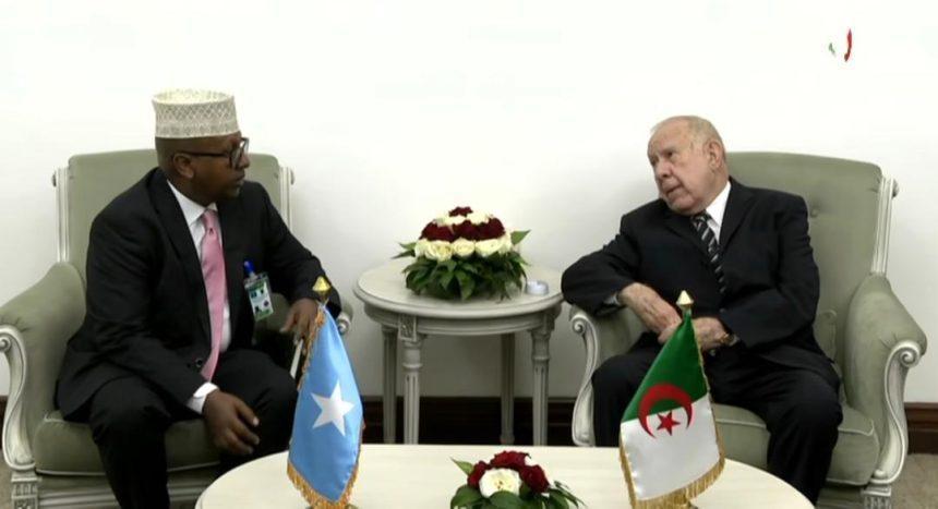 الصومال والجزائر تبحثان سبل تعزيز التعاون في مجالي الدفاع والأمن الصومال والجزائر تبحثان سبل تعزيز التعاون في مجالي الدفاع والأمن