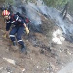 حرائق الغابات.. “حمس” تدعو إلى فتح تحقيق حرائق الغابات.. "حمس" تدعو إلى فتح تحقيق