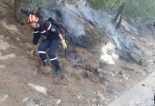 حرائق الغابات.. “حمس” تدعو إلى فتح تحقيق حرائق الغابات.. "حمس" تدعو إلى فتح تحقيق